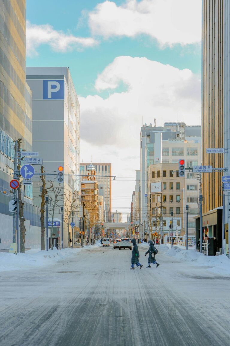 雪の積もった街の大通り