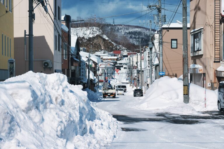 雪が積もった街の通り
