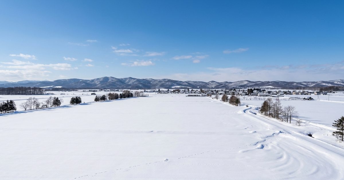 雪に覆われた空知の田園と、遠くの山並みと町並み