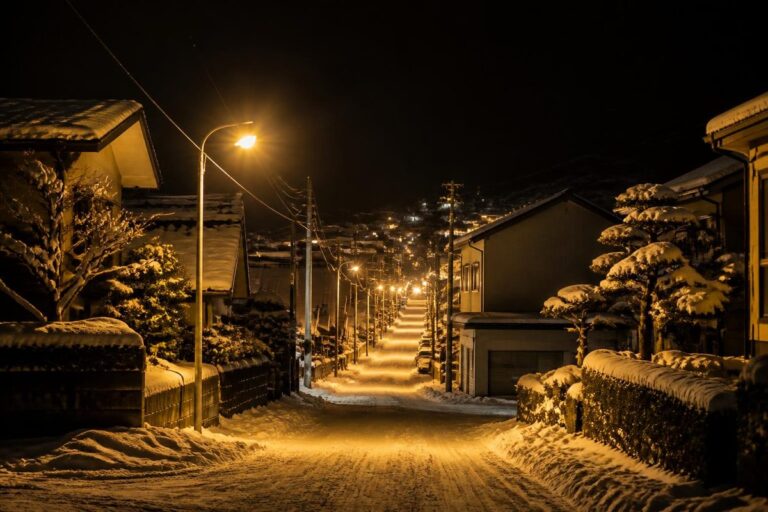 雪が積もった街の通り