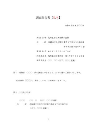 現地調査報告書